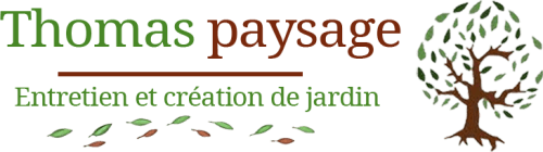 Thomas Paysage