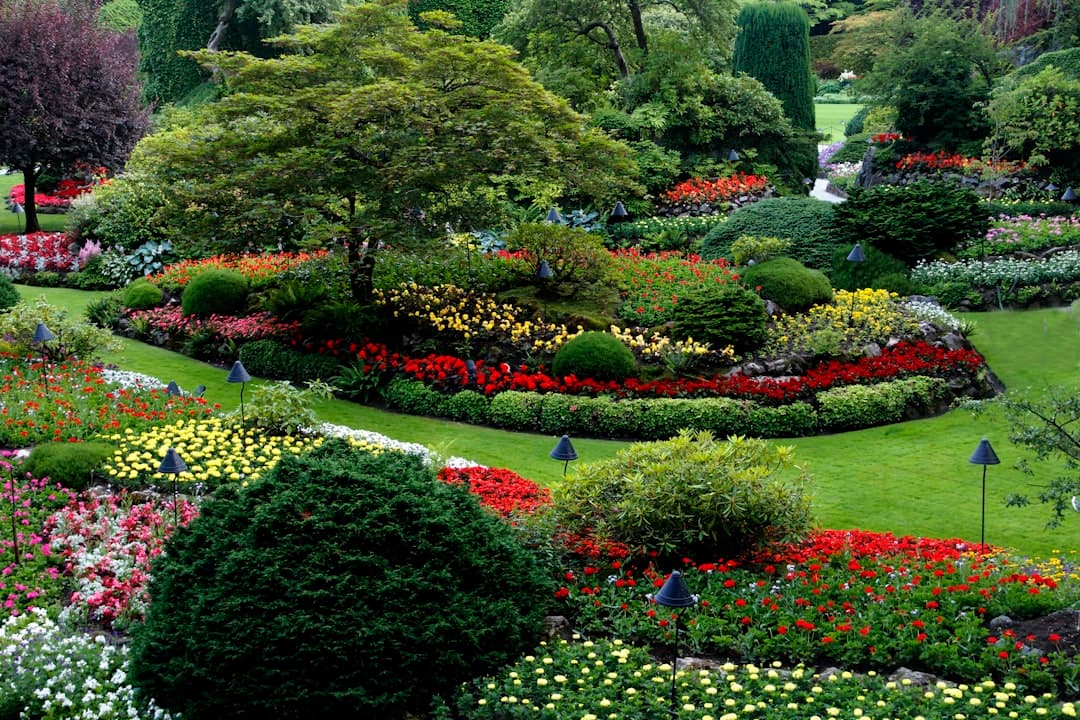 Création de jardin — Thomas Paysage