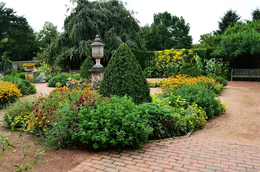 Création de jardin